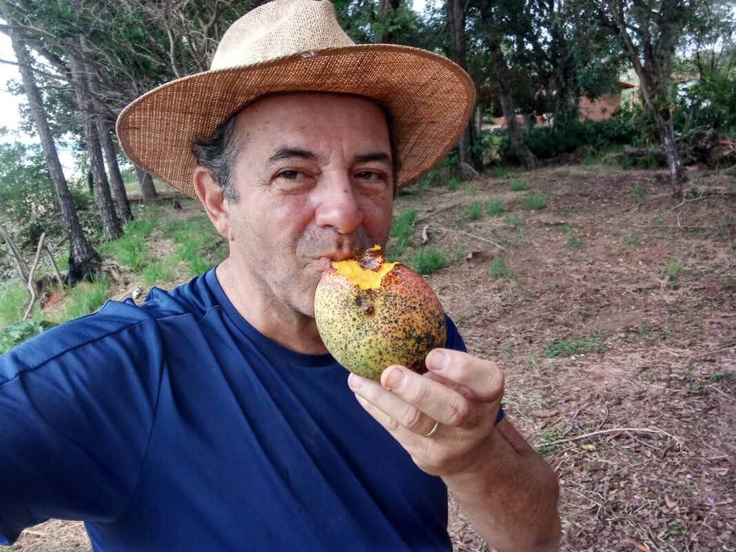 A Água que Come a Luz: a inteligência líquida dos alimentos vivos